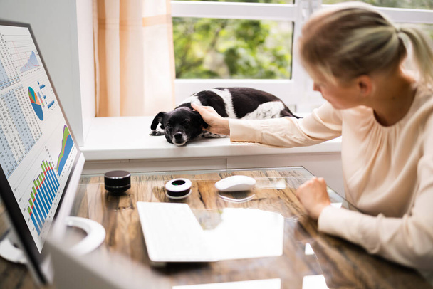 Mulher usando computador de negócios em casa com cão - Foto, Imagem