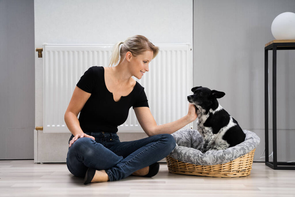 Happy Warm Woman With Dog Near Thermostat Heating Radiator - Photo, Image