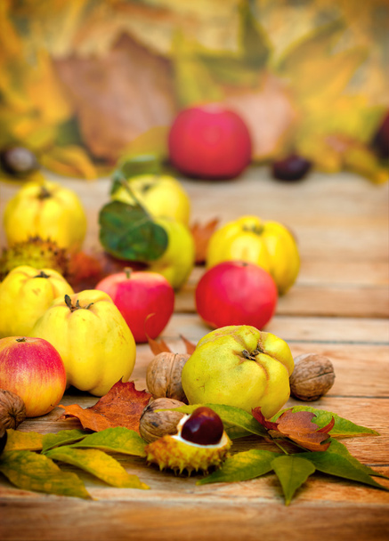 őszi gyümölcs - őszi betakarítás - Fotó, kép