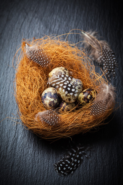 Bıldırcın yumurta Paskalya natürmort - Fotoğraf, Görsel
