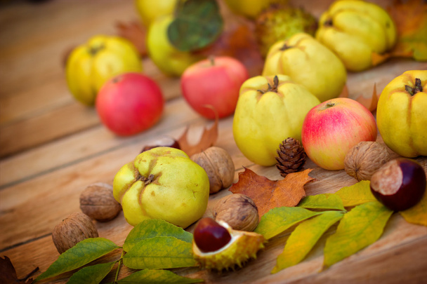 herfst fruit - herfst oogst - Foto, afbeelding