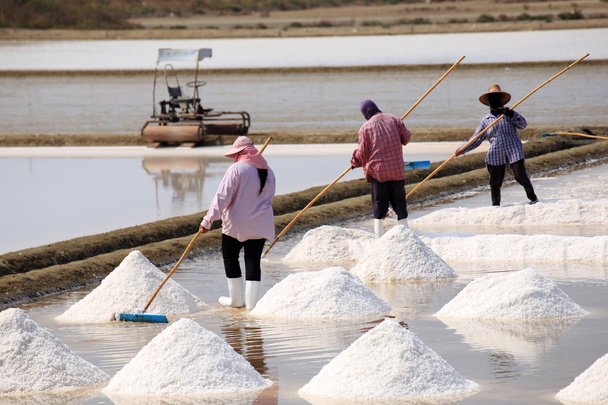 işçilerin tuz pans, Tayland. - Fotoğraf, Görsel