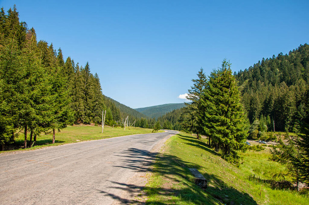 Strada serpentina tra montagne ricoperte di alberi e cielo azzurro - Foto, immagini
