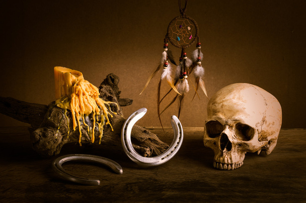 crânio de vida morta
 - Foto, Imagem