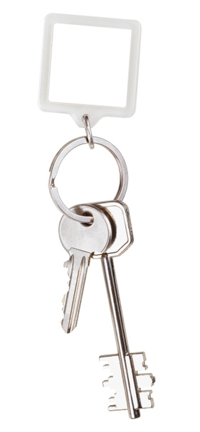 two keys and square keychain on ring - Photo, Image