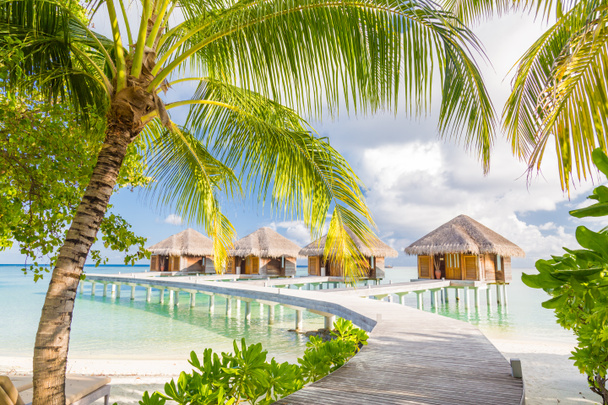 Amazing travel landscape of Maldives beach. Tropical scenery, luxury water villa resort with wooden pier or jetty with palm leaves. Luxury travel destination background for summer holiday and vacation concept. - Photo, Image