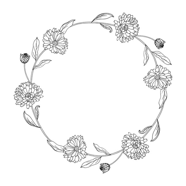bela grinalda floral com flores de calêndula isolado em fundo branco, vetor, ilustração - Vetor, Imagem