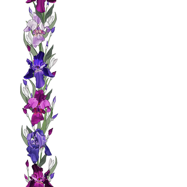 Kwiatowa ramka obramowania z tęczówkami kwiaty do świątecznego projektowania  - Wektor, obraz