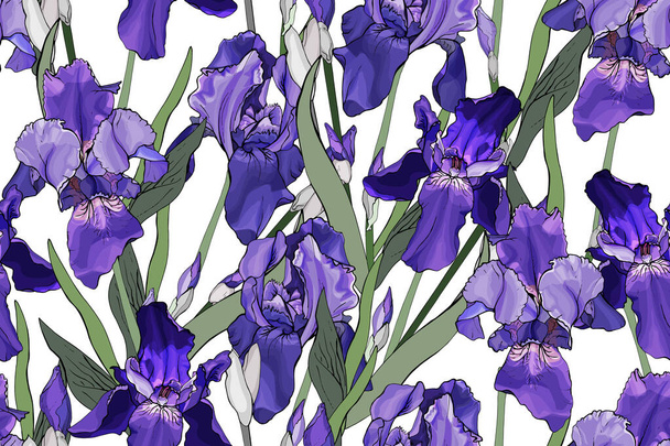 Modello senza cuciture vettoriale con iris fiori e foglie, motivo floreale per tessile - Vettoriali, immagini