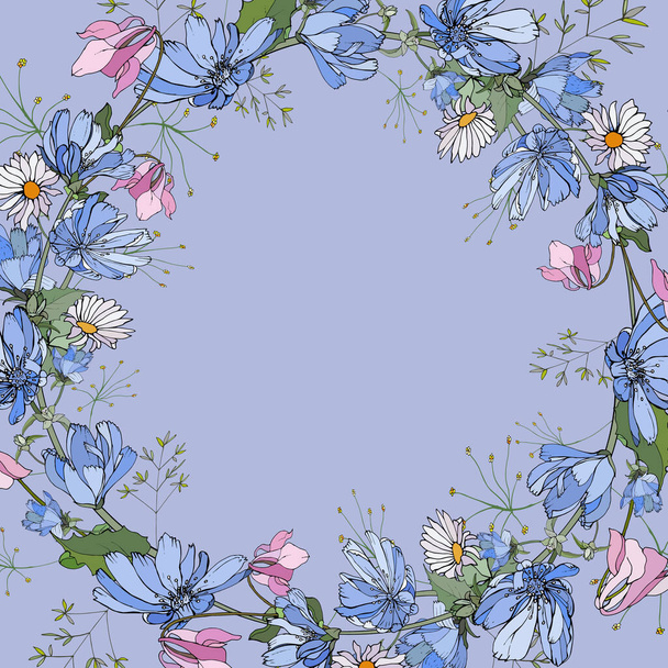 Cadre floral avec fleurs de chicorée pour un design festif  - Vecteur, image