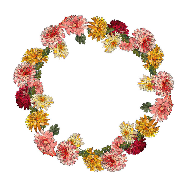 schöner Blumenkranz mit Chrysanthemen-Blüten isoliert auf weißem Hintergrund, Vektor, Illustration - Vektor, Bild