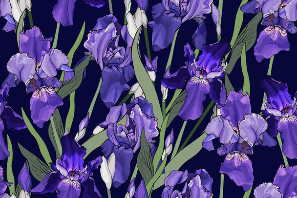 Patrón sin costura vectorial con flores y hojas de iris, Patrón floral para textiles - Vector, Imagen