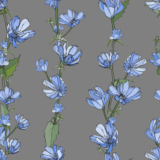 Διάνυσμα χωρίς ραφή μοτίβο με άνθη και φύλλα κιχωρίου, Floral μοτίβο για κλωστοϋφαντουργικά προϊόντα - Διάνυσμα, εικόνα