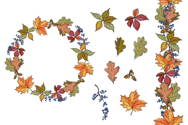 set of beautiful hand drawn autumn leaves, vector, illustration - Вектор, зображення