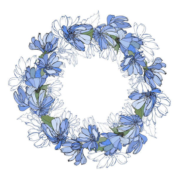 krásný květinový věnec s cikorkou květiny izolované na bílém pozadí, vektor, ilustrace - Vektor, obrázek