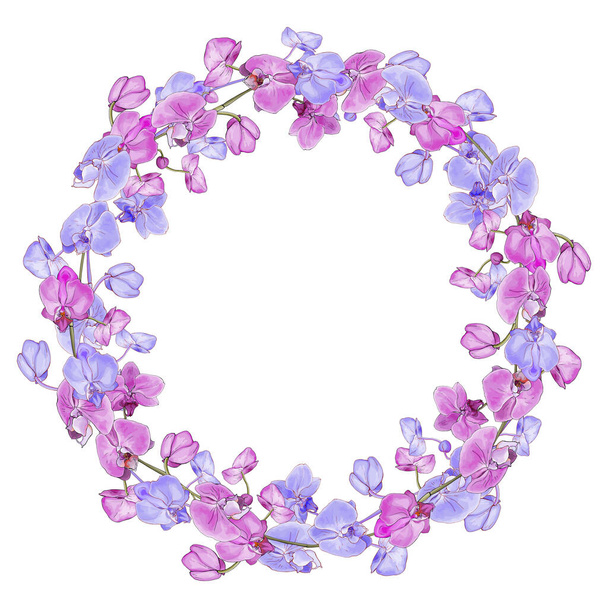 beautiful floral wreath with orchid flowers isolated on white background, vector, illustration - Vektör, Görsel