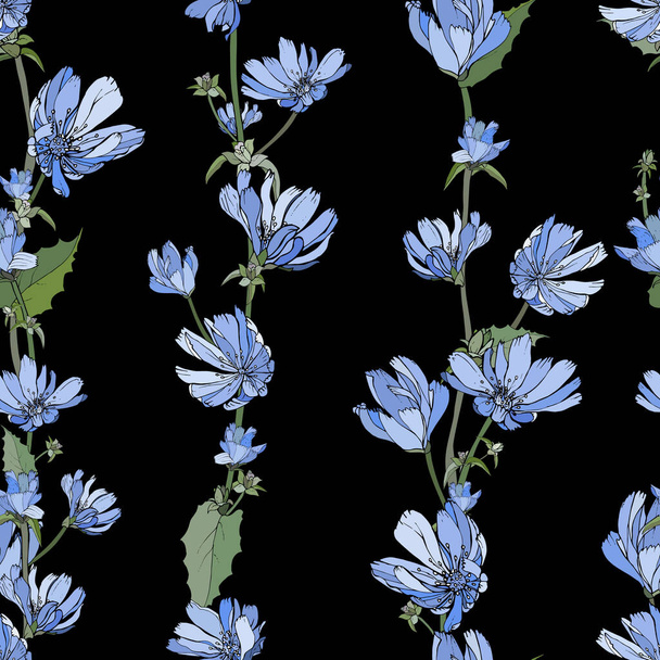 Motif vectoriel sans couture avec des fleurs et des feuilles de chicorée, Motif floral pour textile - Vecteur, image