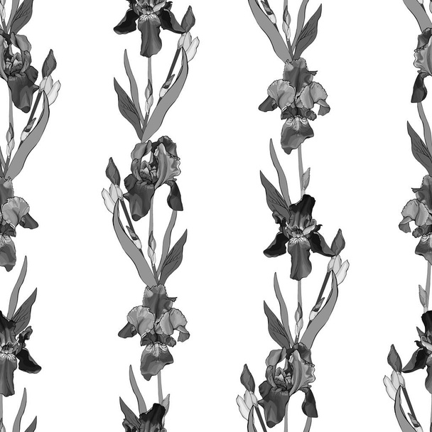 Vektor zökkenőmentes minta írisz virágok és levelek, Virágos minta textil - Vektor, kép