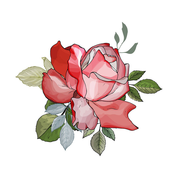 ręcznie rysowany kwiat róży z liśćmi odizolowanymi na białym tle, wektor, ilustracja  - Wektor, obraz