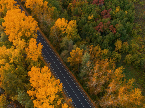 Aerial näkymä tielle kauniissa syksyllä Altai metsä - Valokuva, kuva