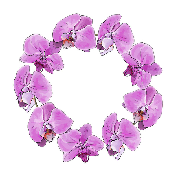 beautiful floral wreath with orchid flowers isolated on white background, vector, illustration - Vector, Image