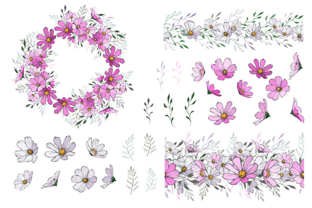 conjunto de flores cosmos coloridas dibujadas a mano aisladas sobre fondo blanco, vector, ilustración  - Vector, Imagen