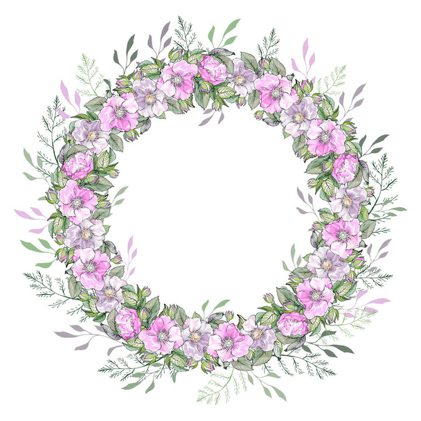 bela moldura floral com flores isoladas no fundo branco, vetor, ilustração - Vetor, Imagem