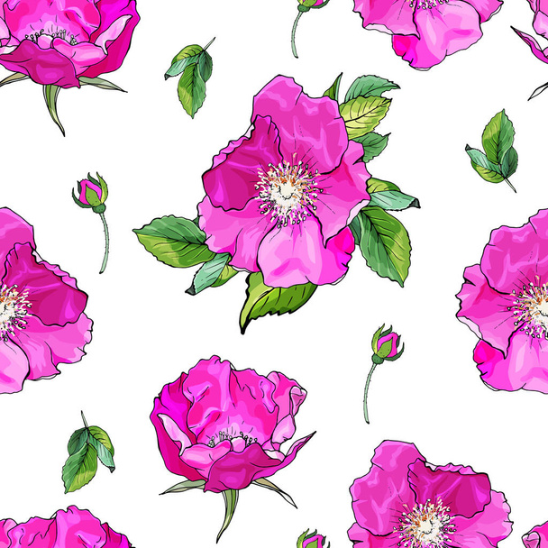 Vektor zökkenőmentes minta rózsa virágok és levelek, Virágmintás textil - Vektor, kép