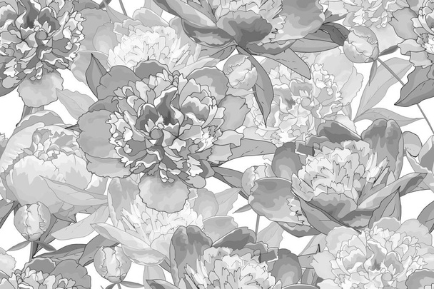 Padrão sem costura vetorial com peônias flores e folhas, padrão floral para têxteis - Vetor, Imagem