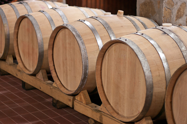 barris de vinho em uma adega - Foto, Imagem
