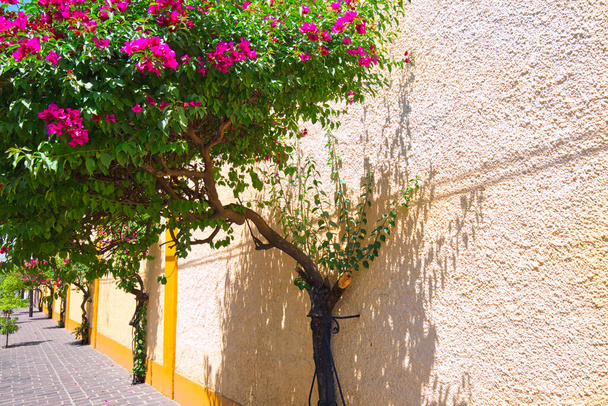 Tlaquepaque malownicze ulice w szczycie sezonu turystycznego - Zdjęcie, obraz