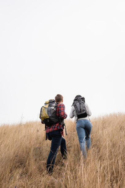 Back view of travelers with backpacks hiking on grassy hill with sky at background  - Foto, Imagem