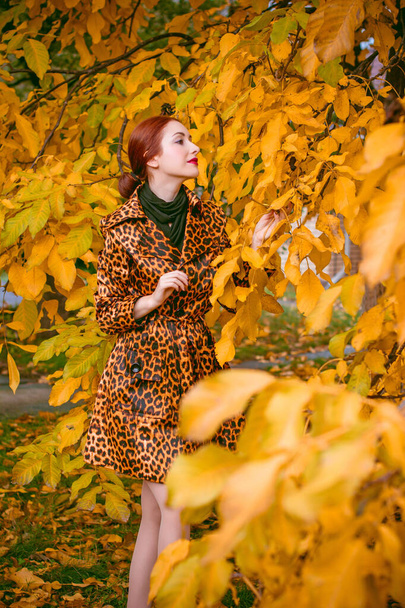 Beautiful fashion woman in animal print coat posing for the camera. Sweet vintage fashionable lady wearing a retro leopard coat and scarf, casual vintage style in everyday life, autumn garden - Foto, immagini