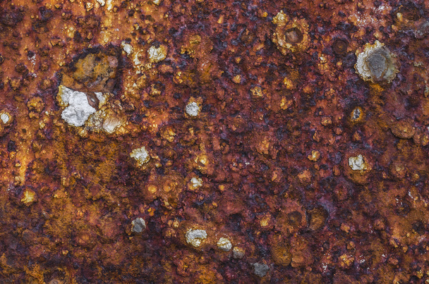 Surface métallique rouillée - Photo, image