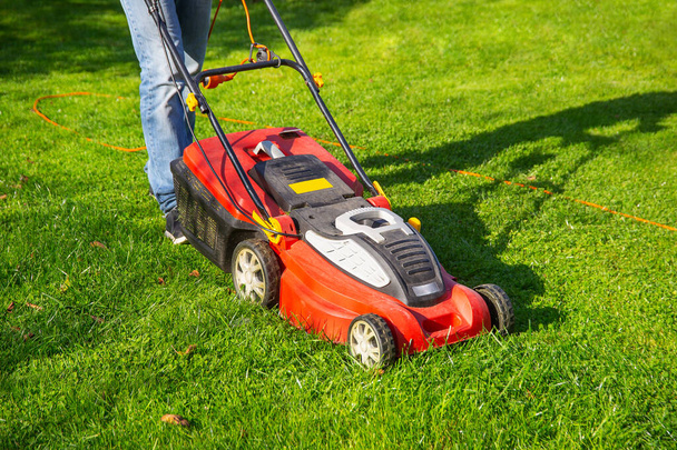 a man in jeans mows the grass in the garden with a lawn mower, summer day - Foto, immagini