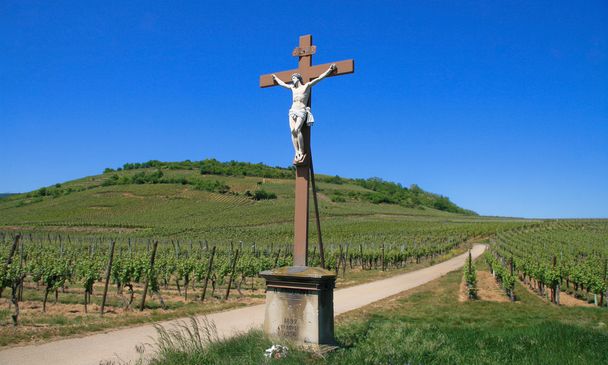 Croix dans un vignoble
 - Photo, image