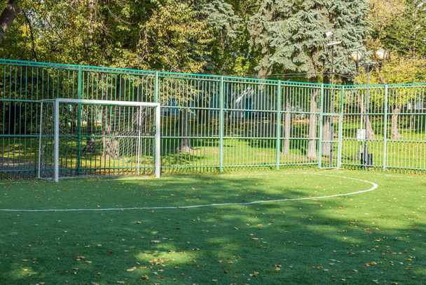 人々がいないサッカーのための緑のフィールドの一部は黄色の落ち葉で覆われている - 写真・画像