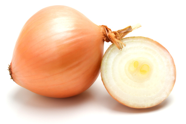Onion - Photo, Image