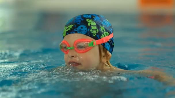 Futuro campeón. Entrenamiento de natación para el pequeño campeón. Pequeño niño lindo fortalece su salud nadando en la piscina. - Imágenes, Vídeo