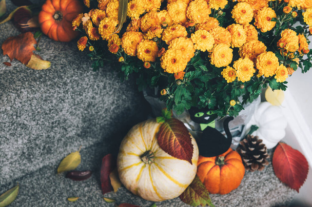 Pumpkins and decorations on stairs - Photo, Image