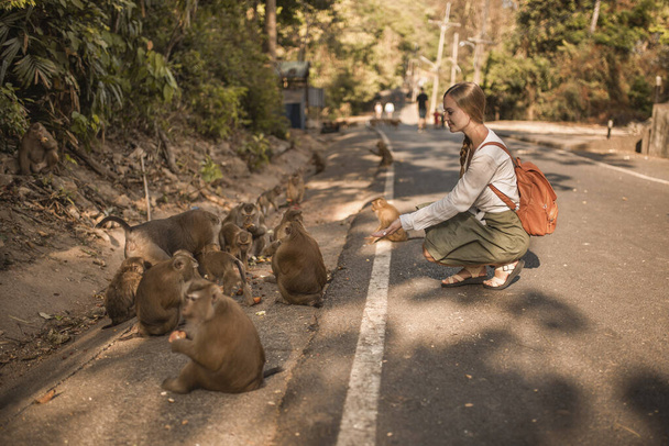 白人旅行者女性と小さなスマートアクティブ猿で野生 - 写真・画像
