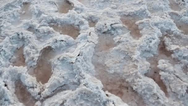 Kiteytynyt suola luonnon kivennäismutaa kuivatussa suolajärvessä Kuivunut suolajärvi parantava muta - Materiaali, video