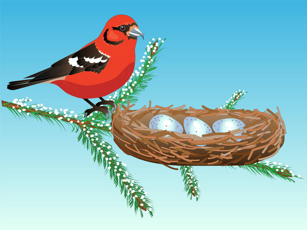       easter basket with eggs and birds. crossbill - Vector, Image