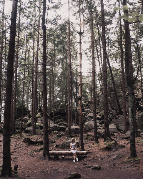 Traveler woman tourist in a dark forest - Photo, Image