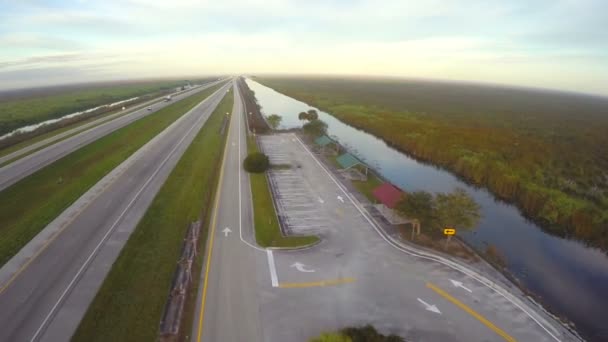 antenowe video aligator aleja miami w stanie Floryda - Materiał filmowy, wideo