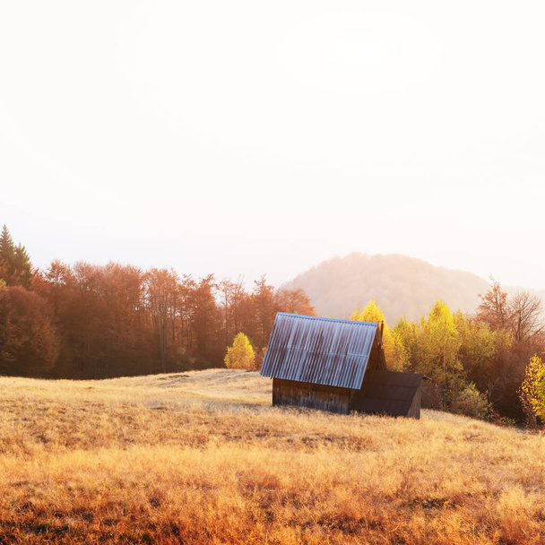 Picturesque autumn meadow with wooden house - Photo, Image