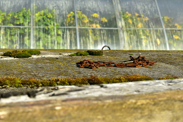 rusty chain on a concrete slab - Photo, Image