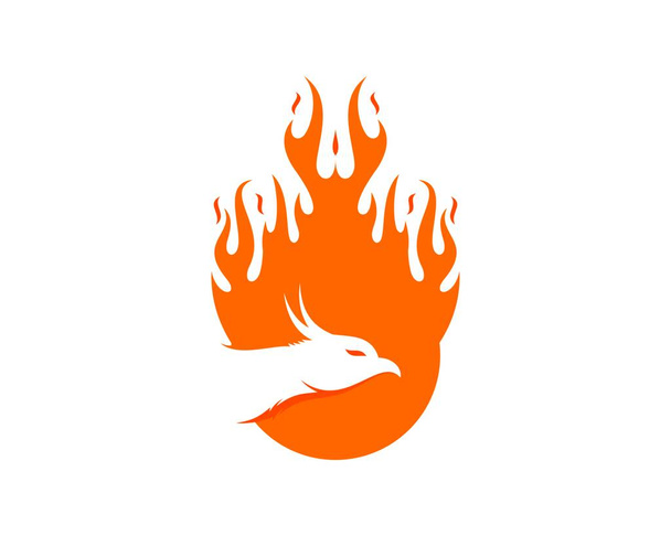 Laranja bola de fogo com cabeça phoenix - Vetor, Imagem