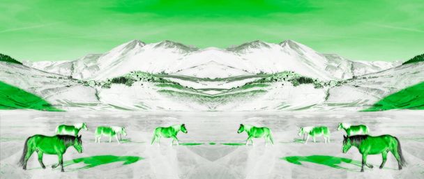 Pony 's en paarden in besneeuwde plateau van Castelluccio van Norcia, Umbrië, Italië, zwerven gratis op een bevroren gekraakt meer, monochromatische moderne levensstijl muur kunst meubels, totale groene kleur - Foto, afbeelding