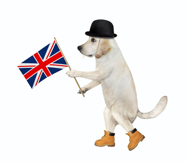 A dog in a black hat holds the flag of England. White background. Isolated. - Fotografie, Obrázek
